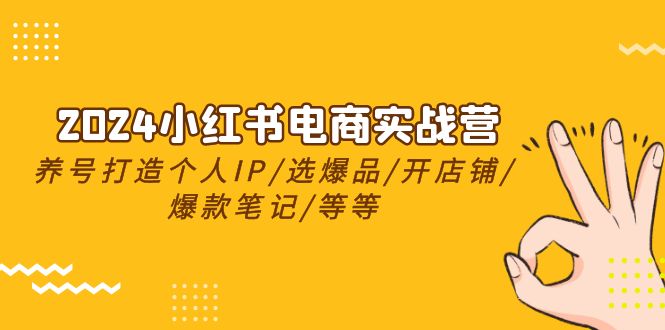 2024小红书电商实战营，养号打造IP/选爆品/开店铺/爆款笔记/等等（24节）-云库资源
