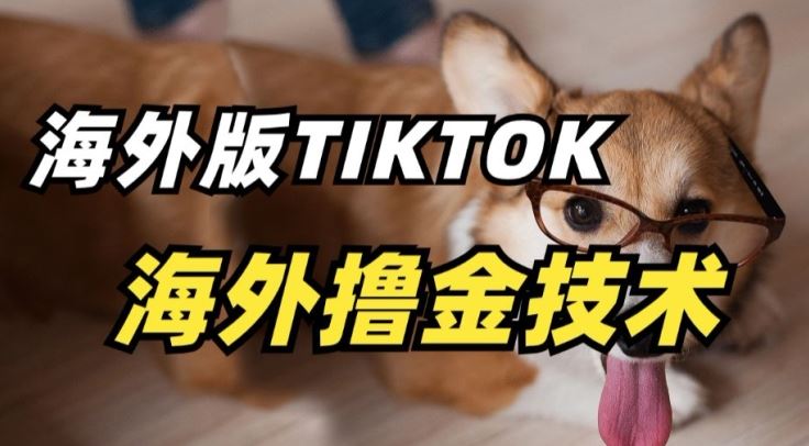 抖音海外版tiktok撸金技术，这个风口行业，赚钱真的不难【揭秘】-云库资源