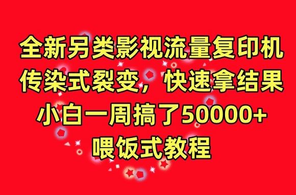 全新另类影视流量复印机，传染式裂变，快速拿结果，小白一周搞了50000+，喂饭式教程【揭秘】-云库资源