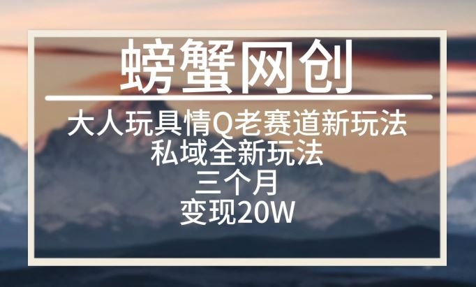 大人玩具情Q用品赛道私域全新玩法，三个月变现20W，老项目新思路【揭秘】-云库资源