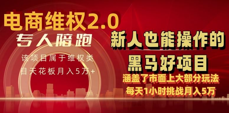 电商维权 4.0 如何做到月入 5 万+每天 1 小时新人也能快速上手【仅揭秘】-云库资源