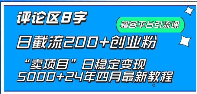 抖音评论区8字日截流200+创业粉 “卖项目”日稳定变现5000+【揭秘】-云库资源
