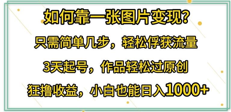 如何靠一张图片变现?只需简单几步，轻松俘获流量，3天起号，作品轻松过原创【揭秘】-云库资源