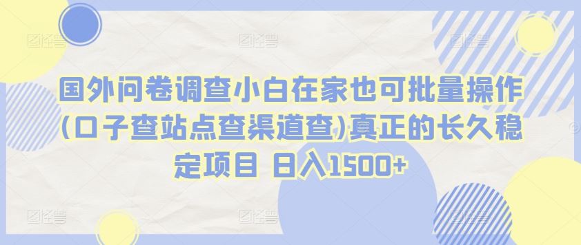 国外问卷调查小白在家也可批量操作(口子查站点查渠道查)真正的长久稳定项目 日入1500+【揭秘】-云库资源