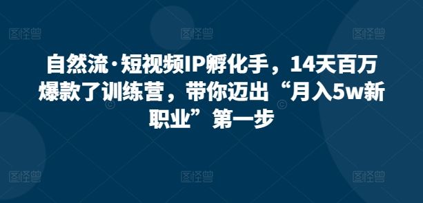 自然流·短视频IP孵化手，14天百万爆款了训练营，带你迈出“月入5w新职业”第一步-云库资源