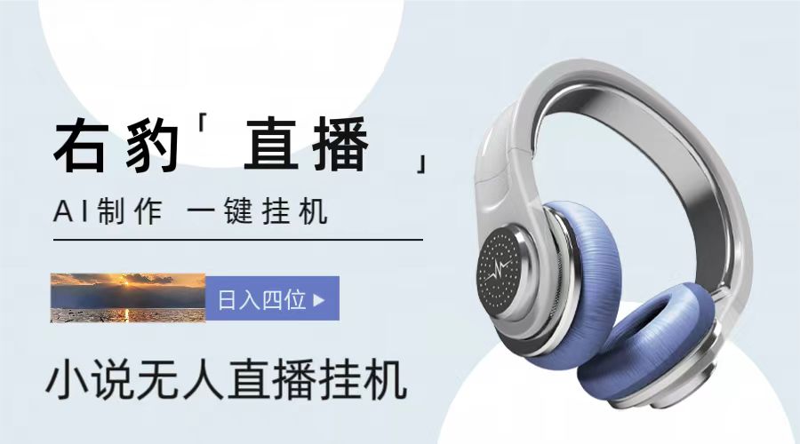 右豹小说无人直播挂机吸金项目，简单易行收益稳定， 月入1000+-云库资源