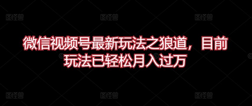 微信视频号最新玩法之狼道，目前玩法已轻松月入过万【揭秘】-云库资源