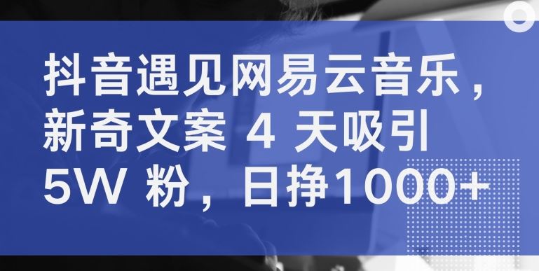 抖音遇见网易云音乐，新奇文案 4 天吸引 5W 粉，日挣1000+【揭秘】-云库资源