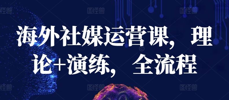 海外社媒运营课，理论+演练，全流程-云库资源