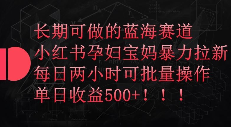 长期可做的蓝海赛道，小红书孕妇宝妈暴力拉新玩法，每日两小时可批量操作，单日收益500+【揭秘】-云库资源