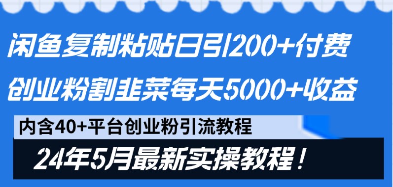 闲鱼复制粘贴日引200+付费创业粉，24年5月最新方法！割韭菜日稳定5000+收益-云库资源