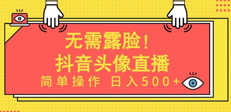 无需露脸，Ai头像直播项目，简单操作日入500+【揭秘】-云库资源