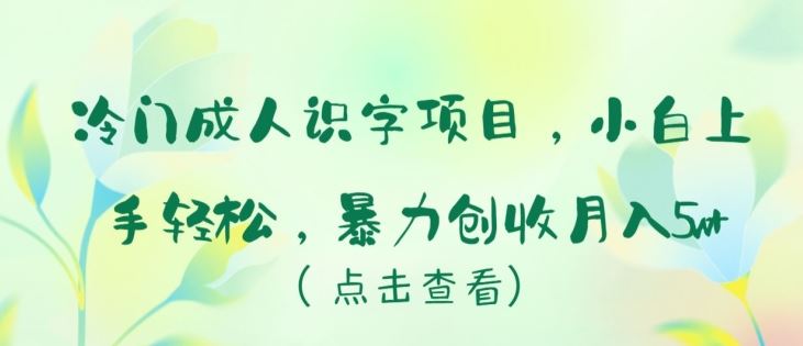 冷门成人识字项目，小白上手轻松，暴力创收月入5w+【揭秘】-云库资源