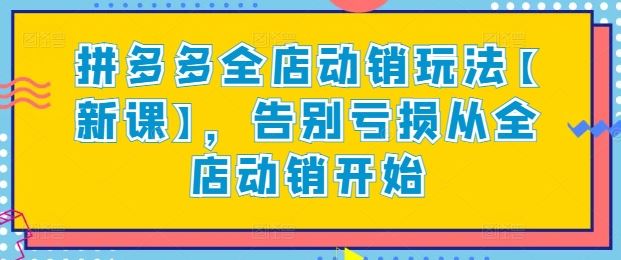 拼多多全店动销玩法【新课】，告别亏损从全店动销开始-云库资源