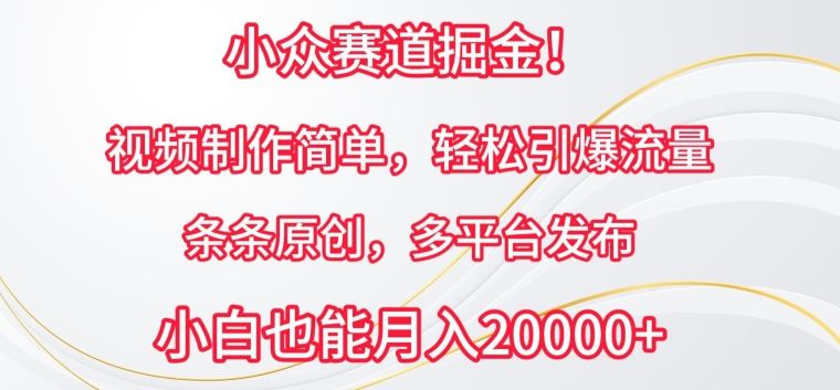 小众赛道掘金，视频制作简单，轻松引爆流量，条条原创，多平台发布【揭秘】-云库资源