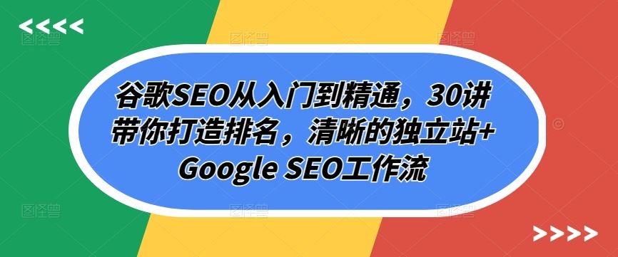 谷歌SEO从入门到精通，30讲带你打造排名，清晰的独立站+Google SEO工作流-云库资源