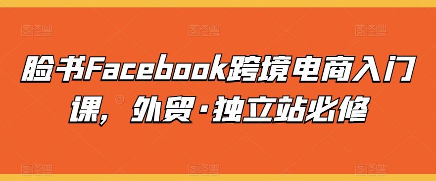 脸书Facebook跨境电商入门课，外贸·独立站必修-云库资源
