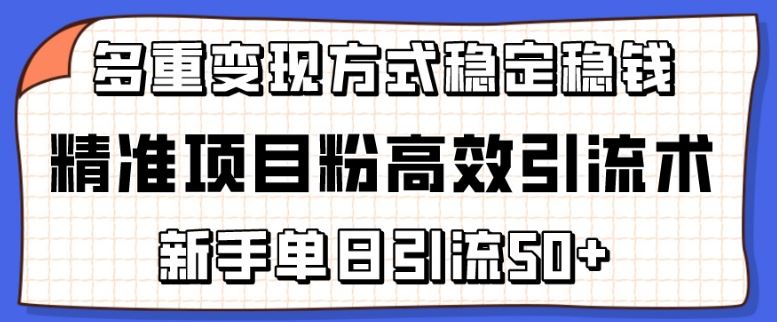 精准项目粉高效引流术，新手单日引流50+，多重变现方式稳定赚钱【揭秘】-云库资源