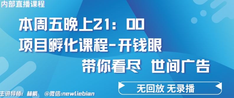4.26日内部回放课程《项目孵化-开钱眼》赚钱的底层逻辑【揭秘】-云库资源