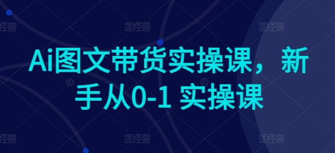 Ai图文带货实操课，新手从0-1 实操课-云库资源