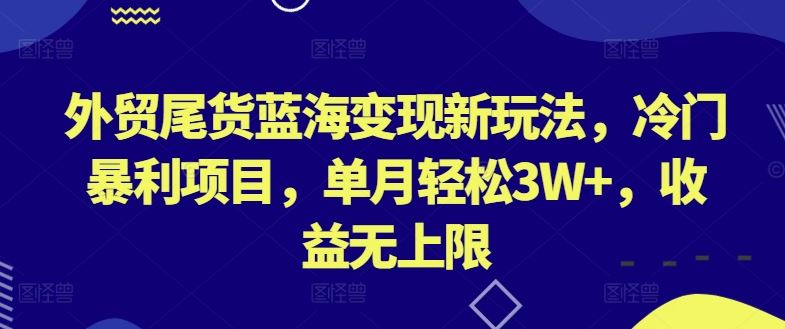 外贸尾货蓝海变现新玩法，冷门暴利项目，单月轻松3W+，收益无上限【揭秘】-云库资源