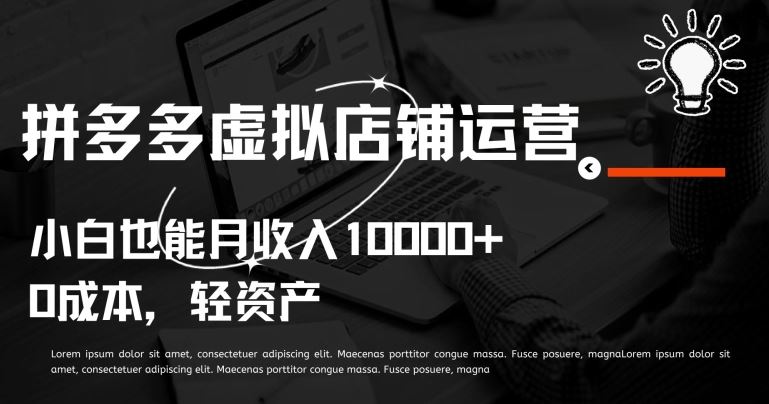拼多多虚拟店铺运营小白也能月收入10000+【揭秘】-云库资源