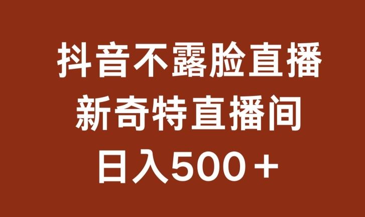 不露脸挂机直播，新奇特直播间，日入500+【揭秘】-云库资源