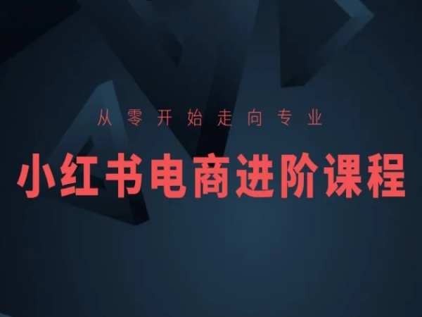 从零开始走向专业，小红书电商进阶课程-云库资源