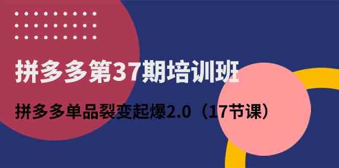 拼多多第37期培训班：拼多多单品裂变起爆2.0（17节课）-云库资源