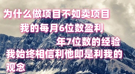 做项目不如卖项目，每月6位数盈利，年7位数经验-云库资源