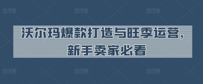 沃尔玛爆款打造与旺季运营，新手卖家必看-云库资源
