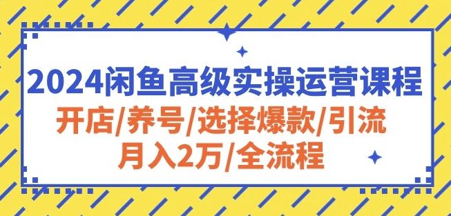 2024闲鱼高级实操运营课程：开店/养号/选择爆款/引流/月入2万/全流程-云库资源