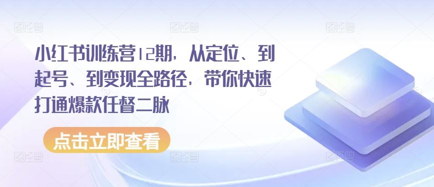 小红书训练营12期，从定位、到起号、到变现全路径，带你快速打通爆款任督二脉-云库资源