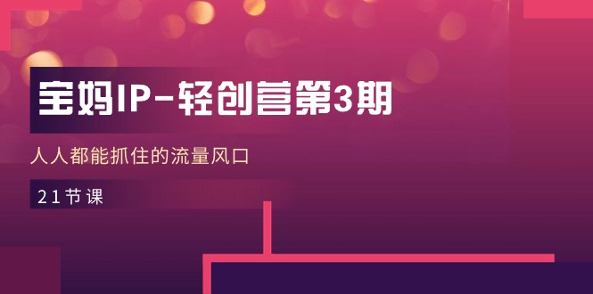 宝妈IP轻创营第3期，人人都能抓住的流量风口（21节课）-云库资源