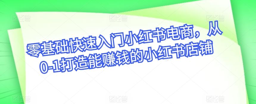 零基础快速入门小红书电商，从0-1打造能赚钱的小红书店铺-云库资源