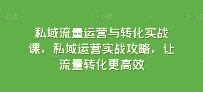 私域流量运营与转化实战课，私域运营实战攻略，让流量转化更高效-云库资源