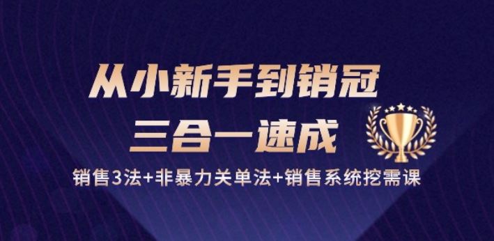 从小新手到销冠 三合一速成：销售3法+非暴力关单法+销售系统挖需课 (27节)-云库资源
