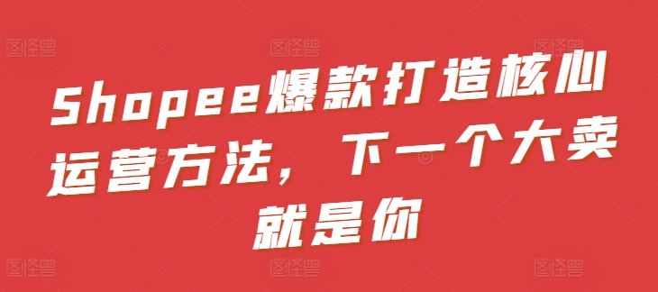 Shopee爆款打造核心运营方法，下一个大卖就是你-云库资源