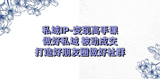 私域IP变现高手课：做好私域被动成交，打造好朋友圈做好社群（18节）-云库资源