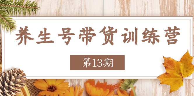 养生号带货训练营【第13期】收益更稳定的玩法，让你带货收益爆炸-云库资源