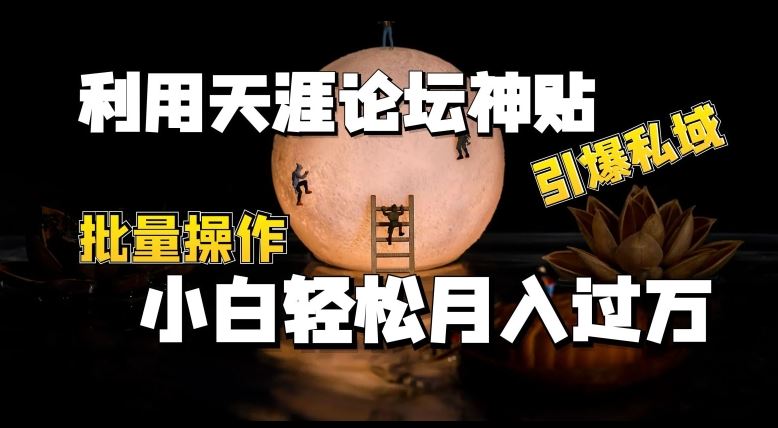 利用天涯论坛神贴，引爆私域，批量操作，小白轻松月入过w【揭秘】-云库资源