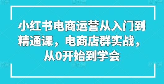 小红书电商运营从入门到精通课，电商店群实战，从0开始到学会-云库资源
