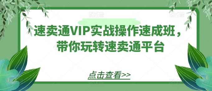 速卖通VIP实战操作速成班，带你玩转速卖通平台-云库资源