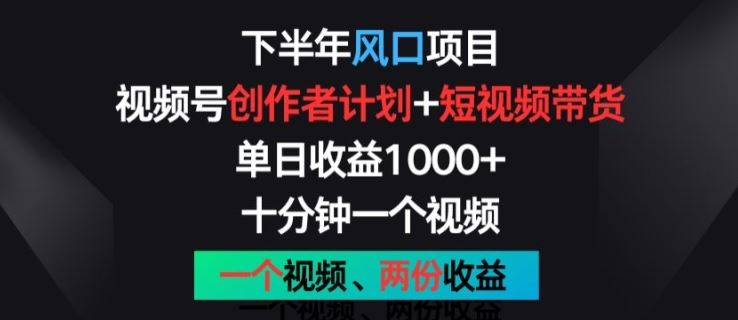 下半年风口项目，视频号创作者计划+视频带货，一个视频两份收益，十分钟一个视频【揭秘】-云库资源