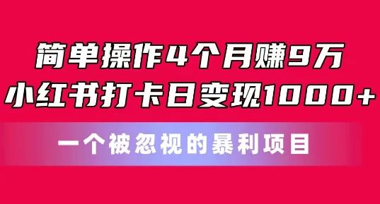 简单操作4个月赚9w，小红书打卡日变现1k，一个被忽视的暴力项目【揭秘】-云库资源