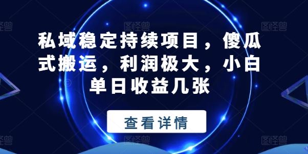 私域稳定持续项目，傻瓜式搬运，利润极大，小白单日收益几张【揭秘】-云库资源