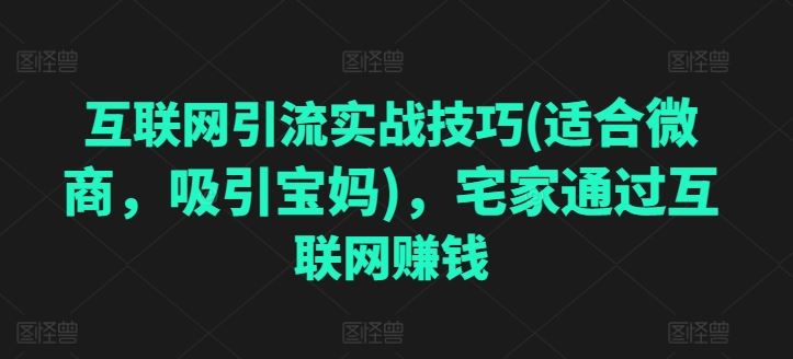 互联网引流实战技巧(适合微商，吸引宝妈)，宅家通过互联网赚钱-云库资源