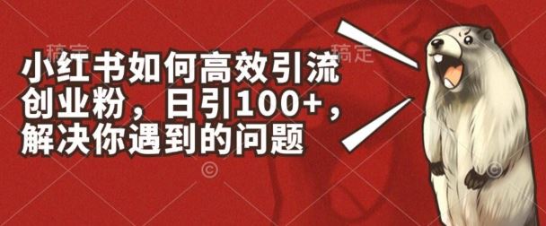 小红书如何高效引流创业粉，日引100+，解决你遇到的问题【揭秘】-云库资源