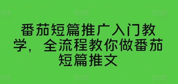 番茄短篇推广入门教学，全流程教你做番茄短篇推文-云库资源