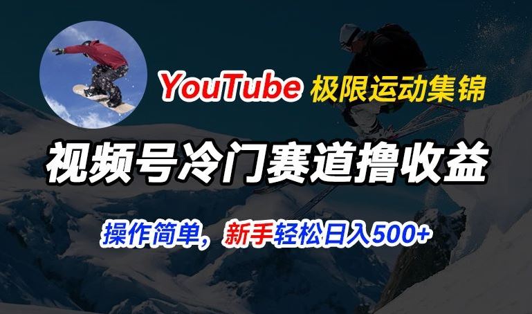 视频号冷门赛道撸收益，YouTube搬运极限运动集锦，暴力起号，操作简单流量高，轻松日入5张【揭秘】-云库资源